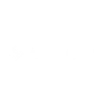 abacus